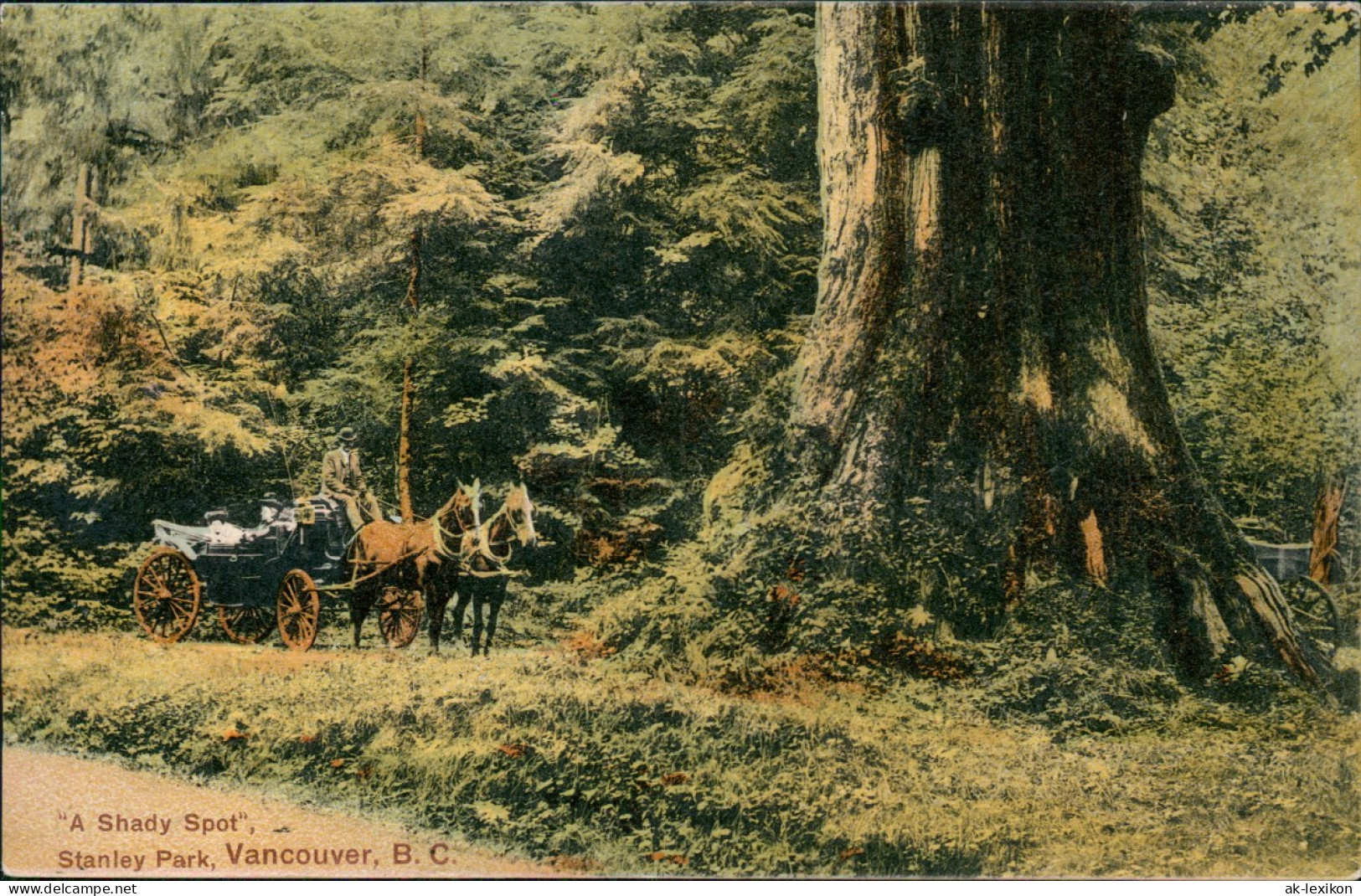 Postcard Vancouver Stanley Park, B. C. "A Shady Spot", 1911 - Vancouver