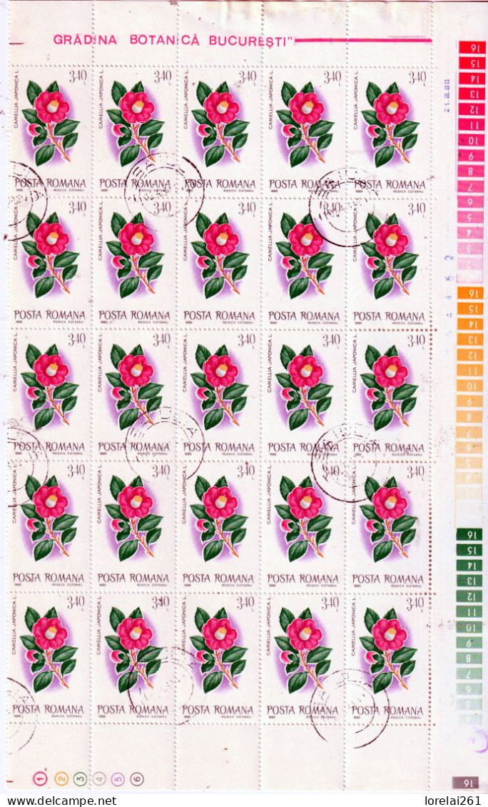 1980 - Fleurs Du Jardin Botanique FULL X 25 - Full Sheets & Multiples