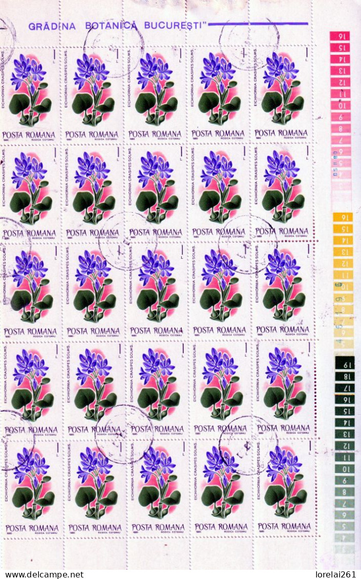 1980 - Fleurs Du Jardin Botanique FULL X 25 - Full Sheets & Multiples