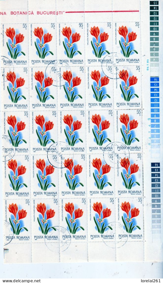 1980 - Fleurs Du Jardin Botanique FULL X 25 - Full Sheets & Multiples