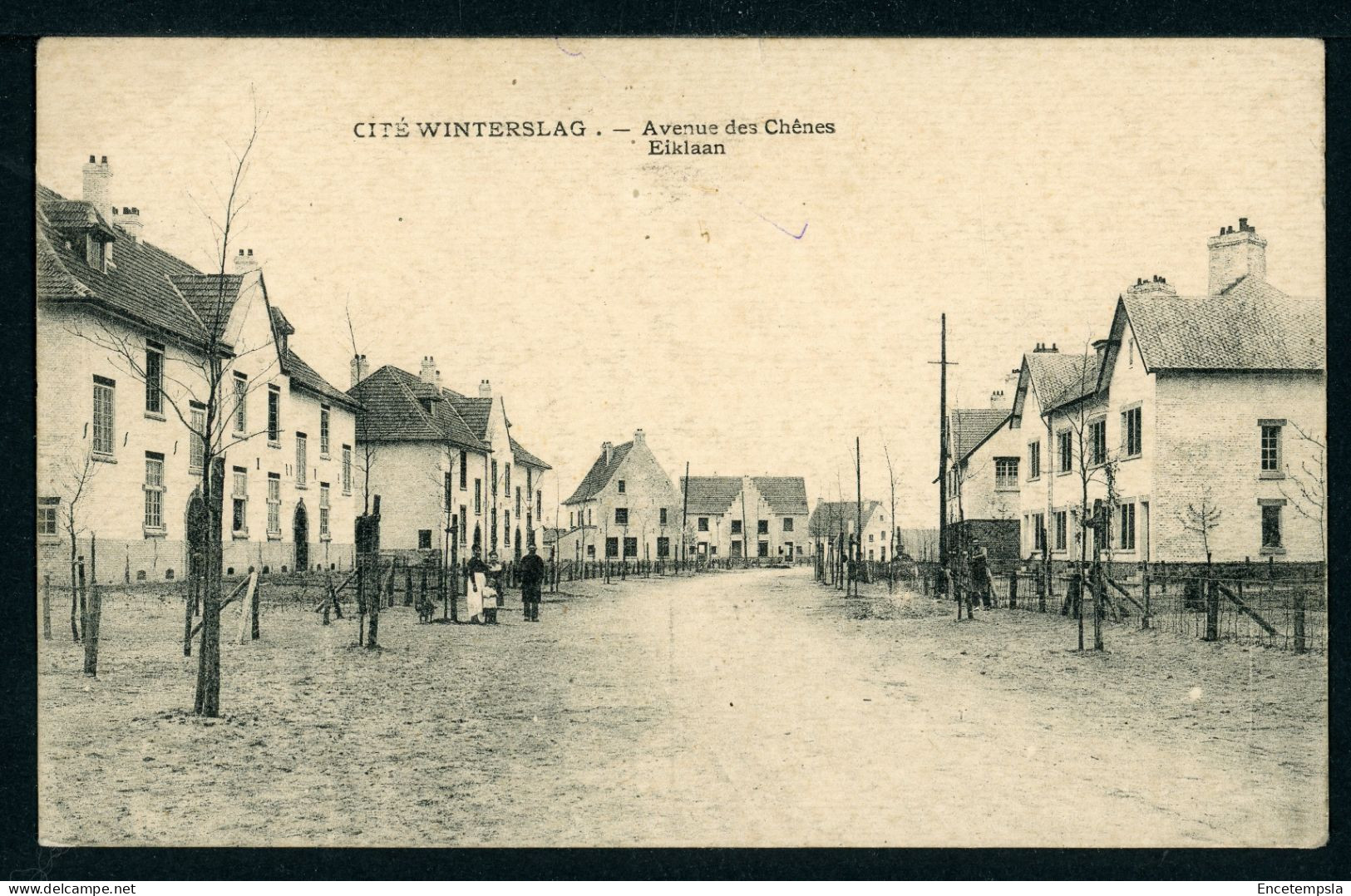 CPA - Carte Postale - Belgique - Cité De Winterslag - Avenue Des Chênes (CP24234) - Genk