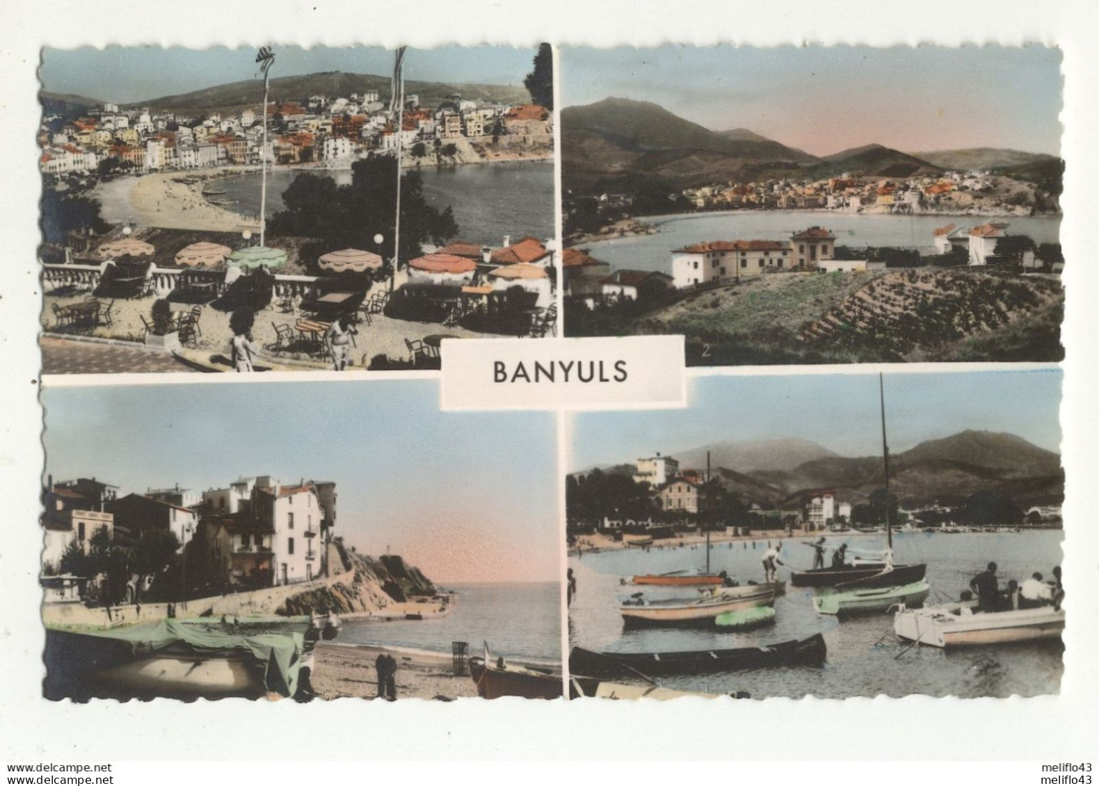 Banyuls - Lot N° 5 De 10 CPSM (Toutes Scannées) - 5 - 99 Karten