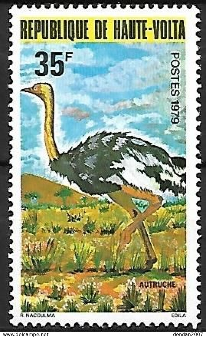 Upper Volta - MNH ** 1979 :  Common Ostrich  -  Struthio Camelus - Straussen- Und Laufvögel