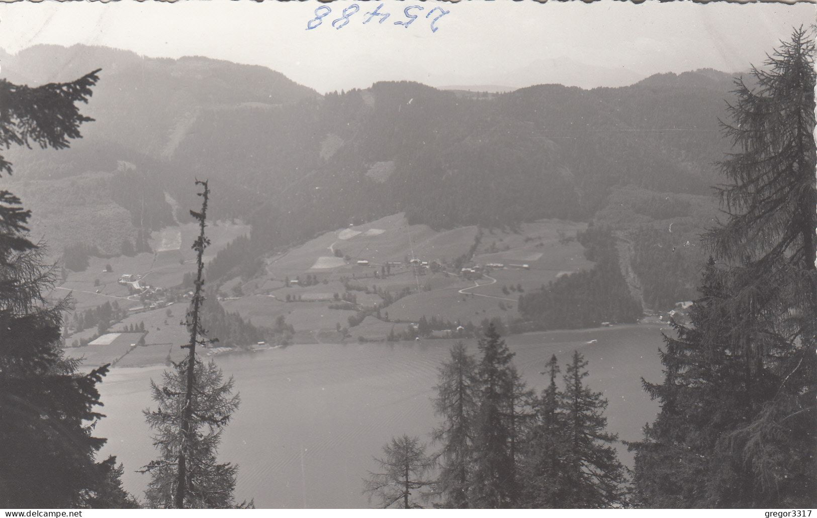 E4309) NAGGL Am WEISSENSEE - FOTO AK - Alt S/W - Weissensee