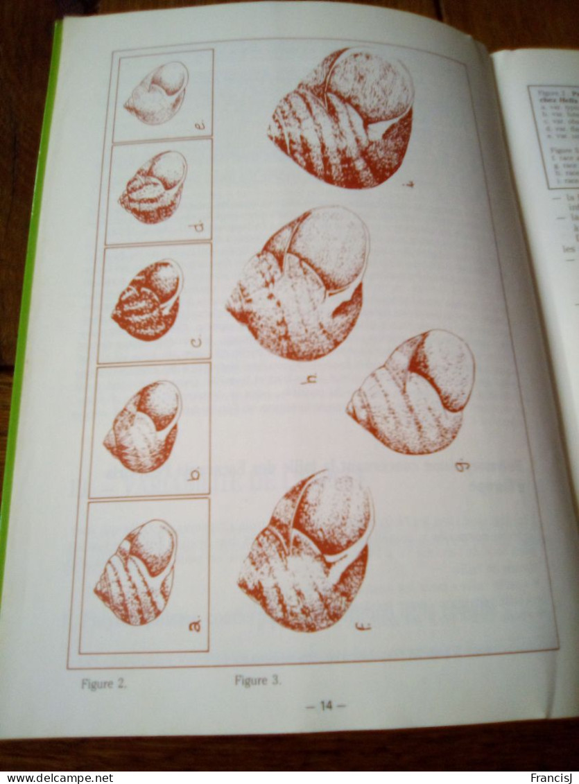 L' élevage Des Escargots Henry Chevallier Edition Du Point Vétérinaire 1985 - Francese