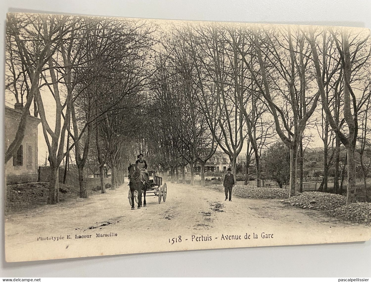 CPA - 84 - PERTUIS - Avenue De La Gare - 1518 - Pertuis