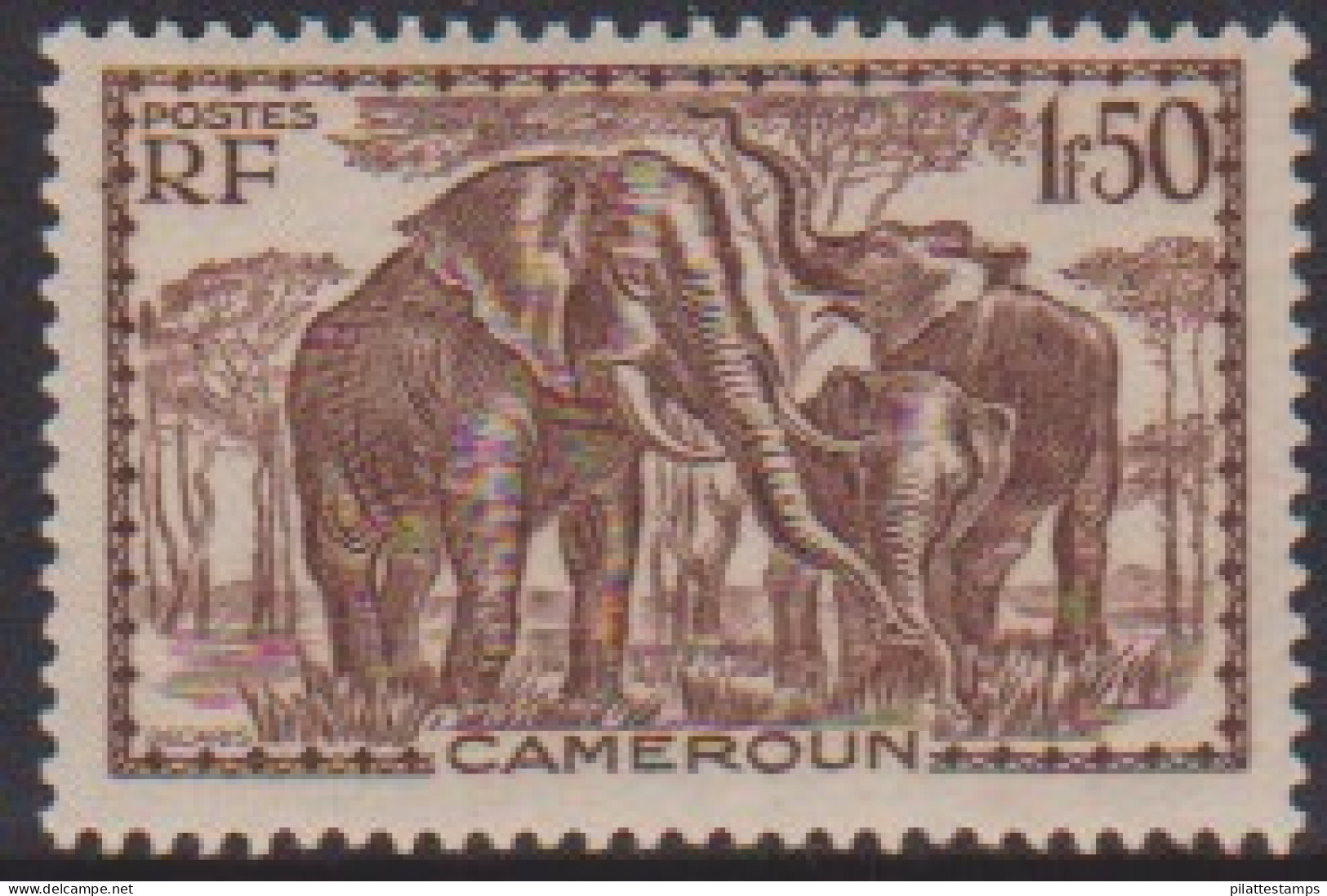 Cameroun 182** - Otros & Sin Clasificación