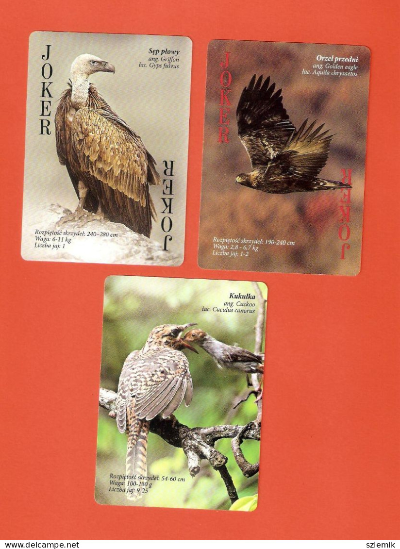 Playing Cards 52 + 2 Jokers. Wild Birds Of Poland.  Poland - 2022. - 54 Cards