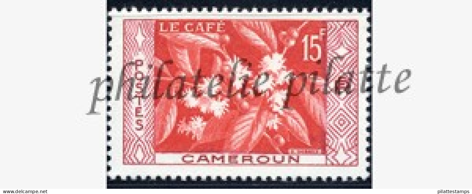 Cameroun 304** - Altri & Non Classificati