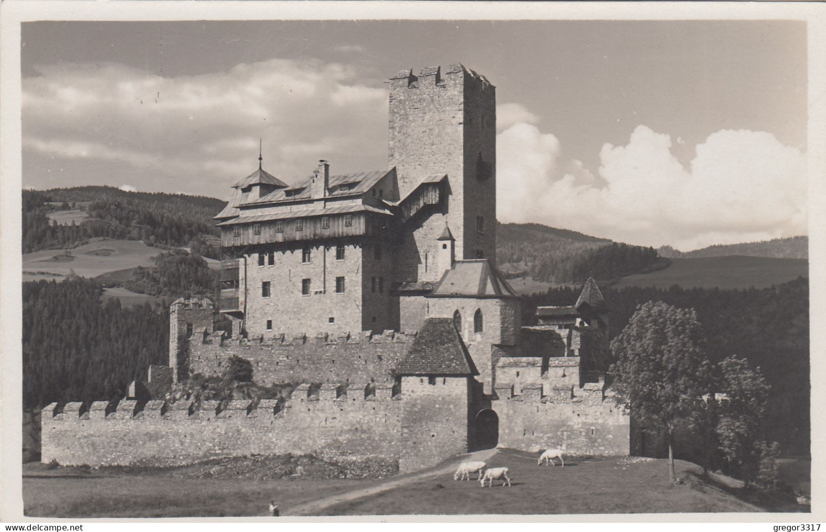 E4347) FRIESACH / Kärnten - Burg GEIERSBERG Mit Kühen Davor 1930 ALT ! - Friesach