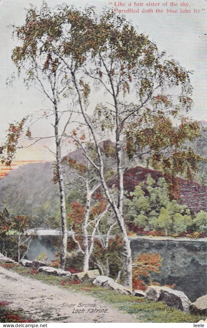 BT83.  Vintage Postcard.  Silver Birches,   Loch Katrine.   Stirlingshire - Stirlingshire
