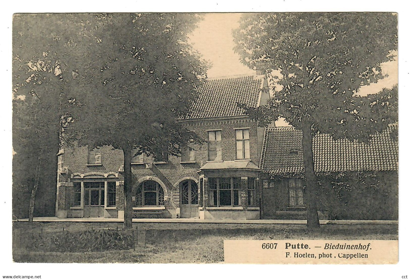 Putte    Bieduinenhof   Edit F Hoelen Cappellen N° 6607 - Putte