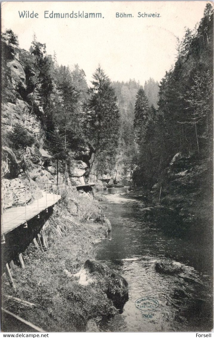 Wilde Edmundsklamm , Böhmische Schweiz (Stempel: Schandau 1910 , Nach Dänemark) - Böhmen Und Mähren