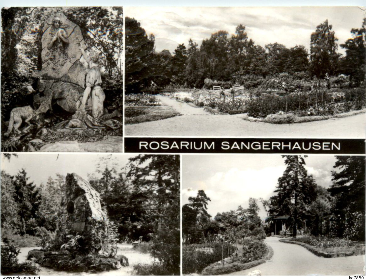 Rosarium Sangerhausen, Div. Bilder - Sangerhausen