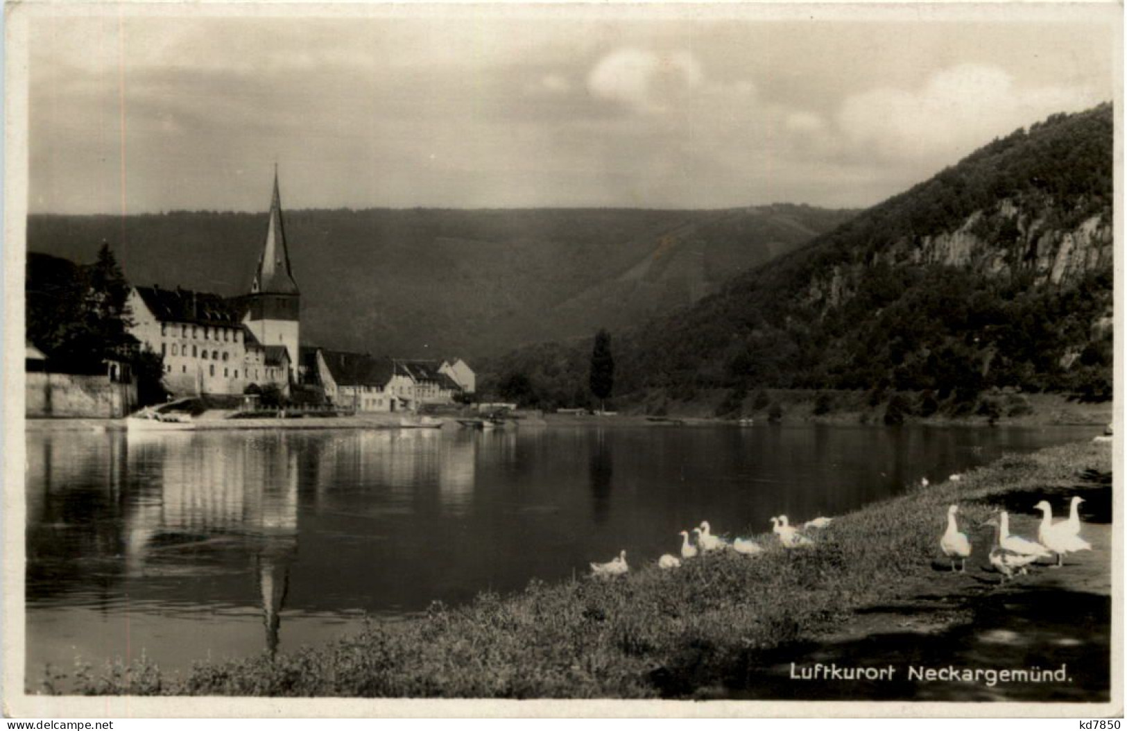 Kurort Neckargemünd - Neckargemuend