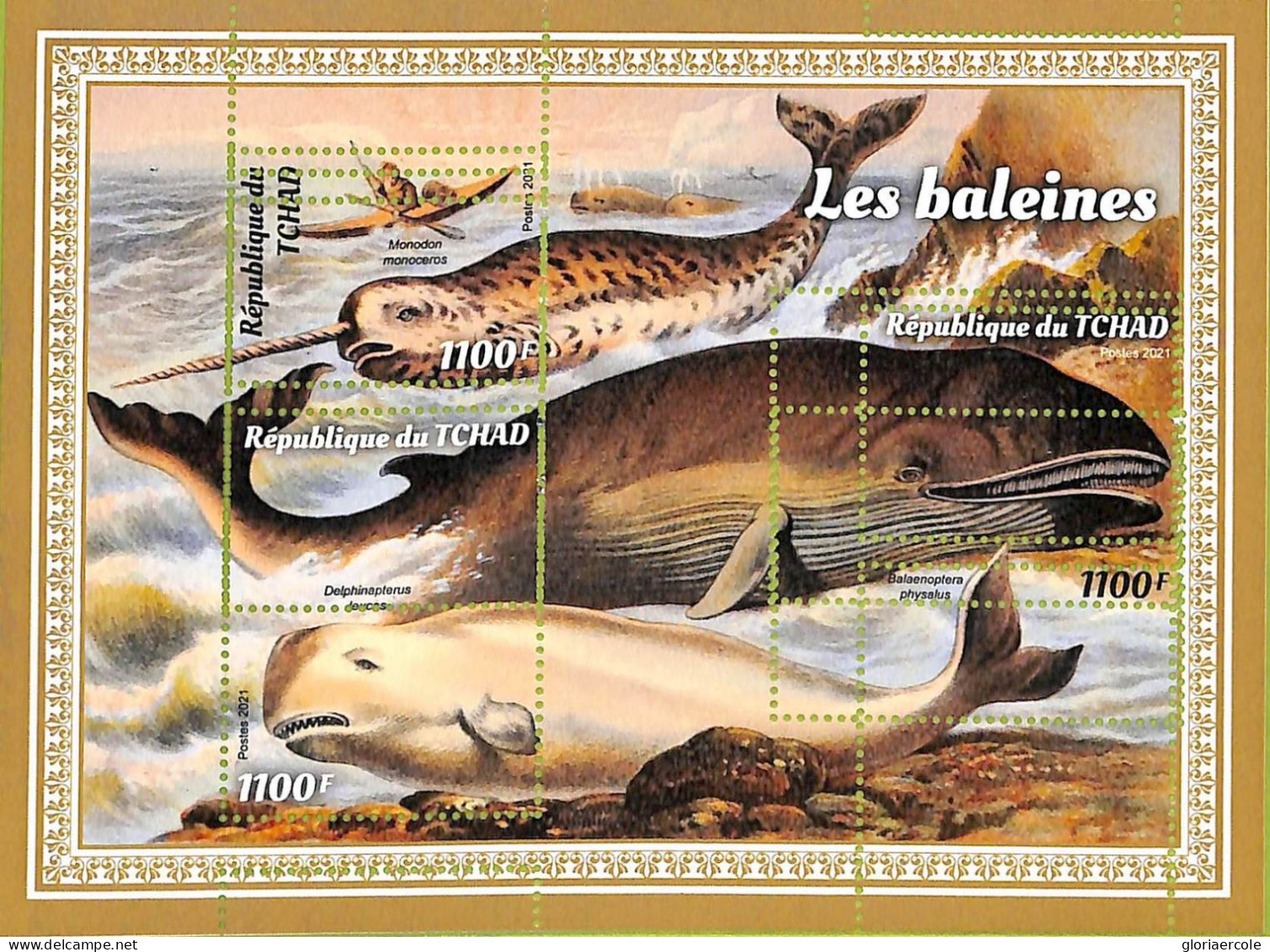 A9598 - TCHAD -  ERROR MISPERF Stamp Sheet - 2021 - Whales, Marine Life - Baleines