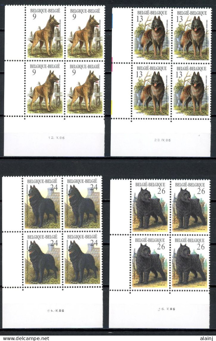 BE   2213 - 2216  XX   ---   Races Canines Belges  --  Bloc De 4  Coin De Feuille - Datiert