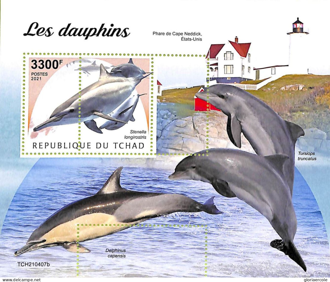 A9585 - TCHAD -  ERROR MISPERF Stamp Sheet - 2021 - Dolphins, Marine Life - Dolphins