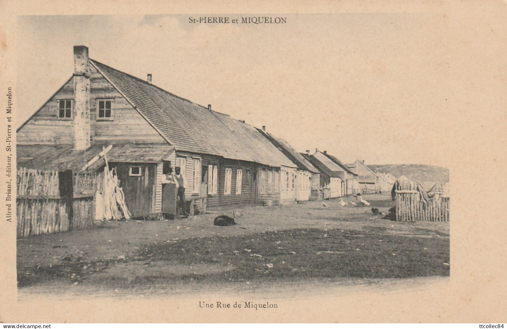 CPA-SAINT PIERRE ET MIQUELON-Une Rue De Miquelon - Saint-Pierre-et-Miquelon
