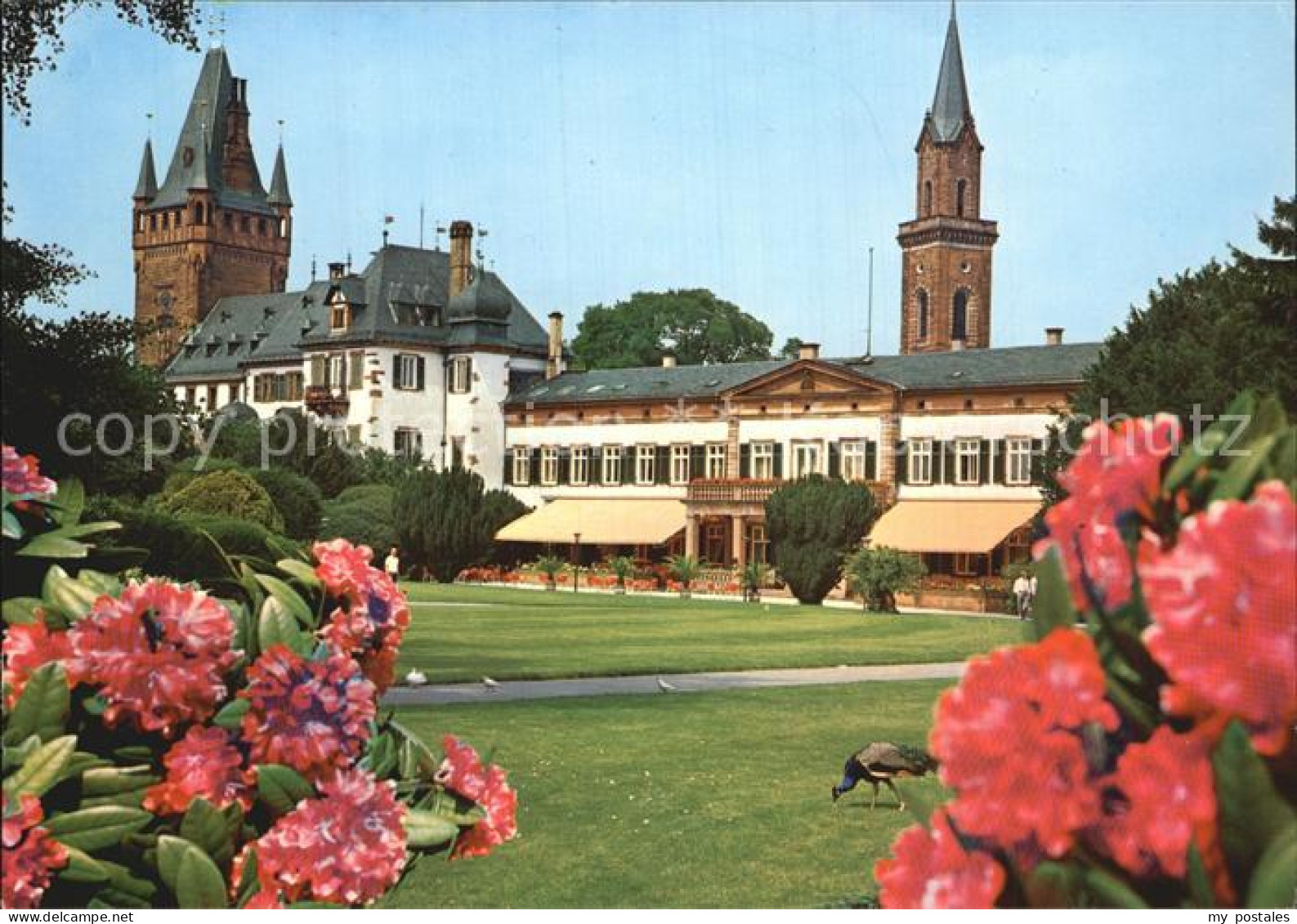 72504956 Weinheim Bergstrasse Schlosspark Weinheim - Weinheim