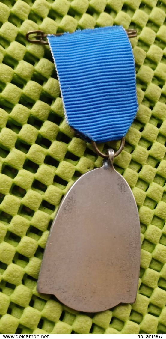 Medaille  -  V. Dedem Tocht , Noordoost-Overijssel -  Original Foto  !!  Medallion  Dutch - Other & Unclassified