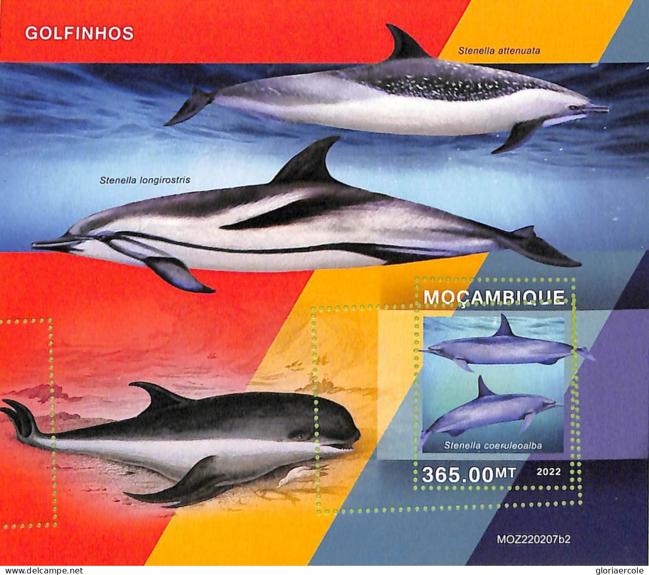 A9073 - Mozambique - ERROR MISPERF Stamp Sheet - 2022 - Marine Life, DOLPHINS - Delfines