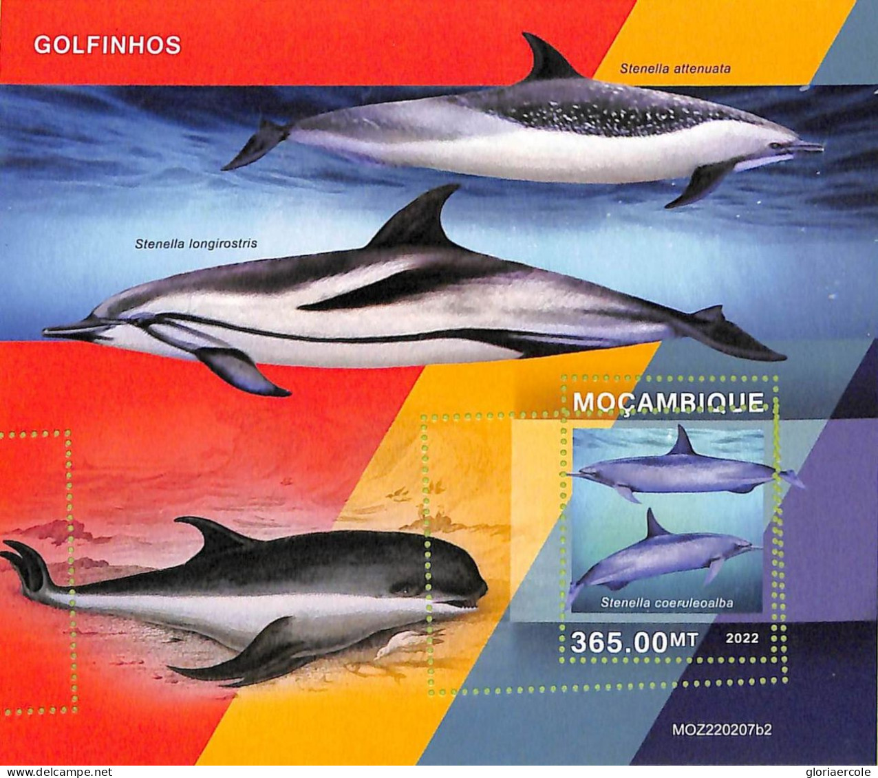 A9073 - Mozambique - ERROR MISPERF Stamp Sheet - 2022 - Marine Life, DOLPHINS - Dolphins
