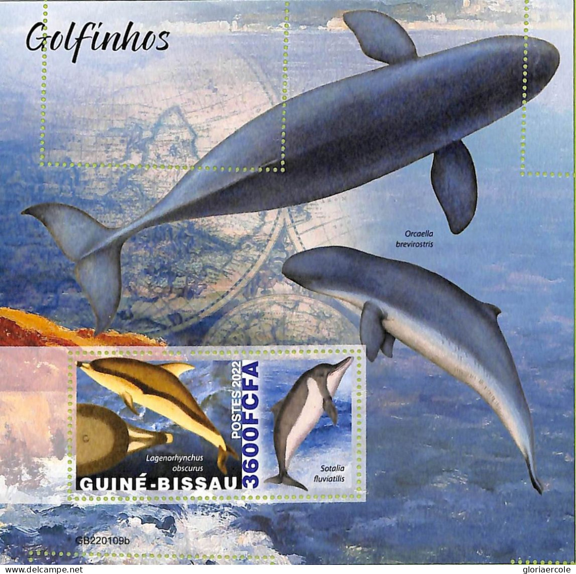 A7584 - GUINE BISSAU - ERROR MISPERF Stamp Sheet -  2022 - Marine Life, Dolphins - Delfines