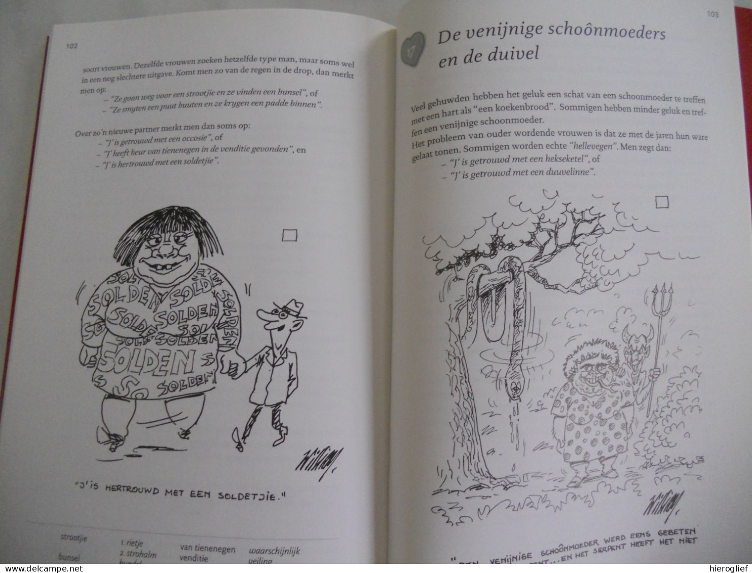 't Wit Vierkantje - humor in de liefdestaal Dr. William De Groote Brugge cartoons & volkstaal ivm liefde en sexualiteit