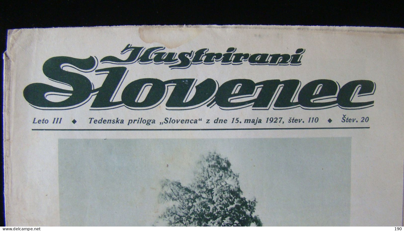 Newspaper Priloga Ilustrirani Slovenec, Tradicionalna Vaska Lipa V Ziljski Vasi Na Koroskem - Langues Slaves