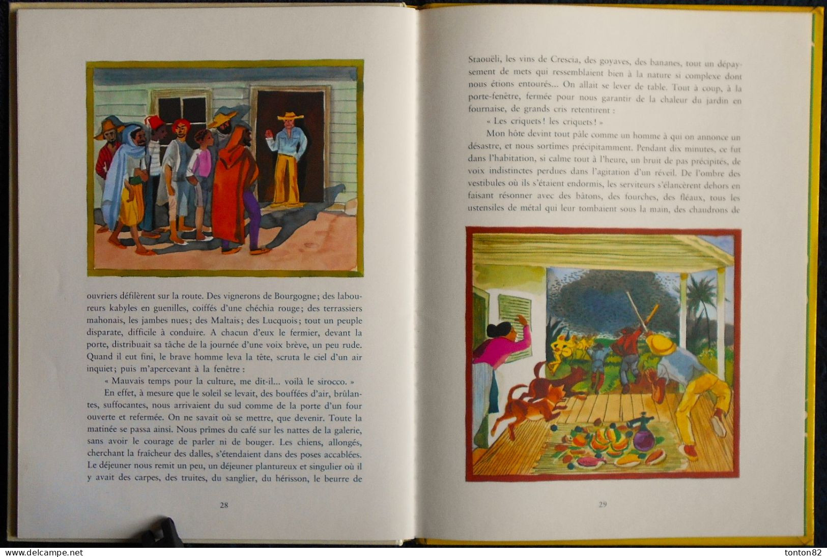 Alphonse Daudet - L'élixir du Révérend Père Gaucher ( suivi de : Les sauterelles ) - Casterman - ( 1977 ) .