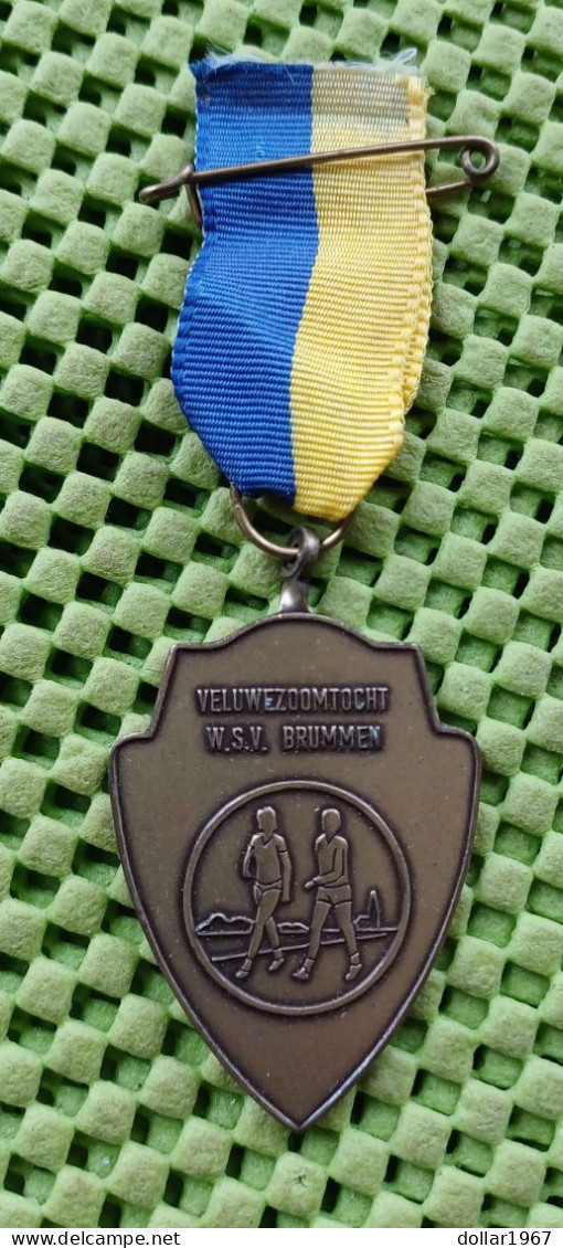 Medaille  - Veluwezoomtocht , W.S.V. Brummen -  Original Foto  !!  Medallion  Dutch - Andere & Zonder Classificatie