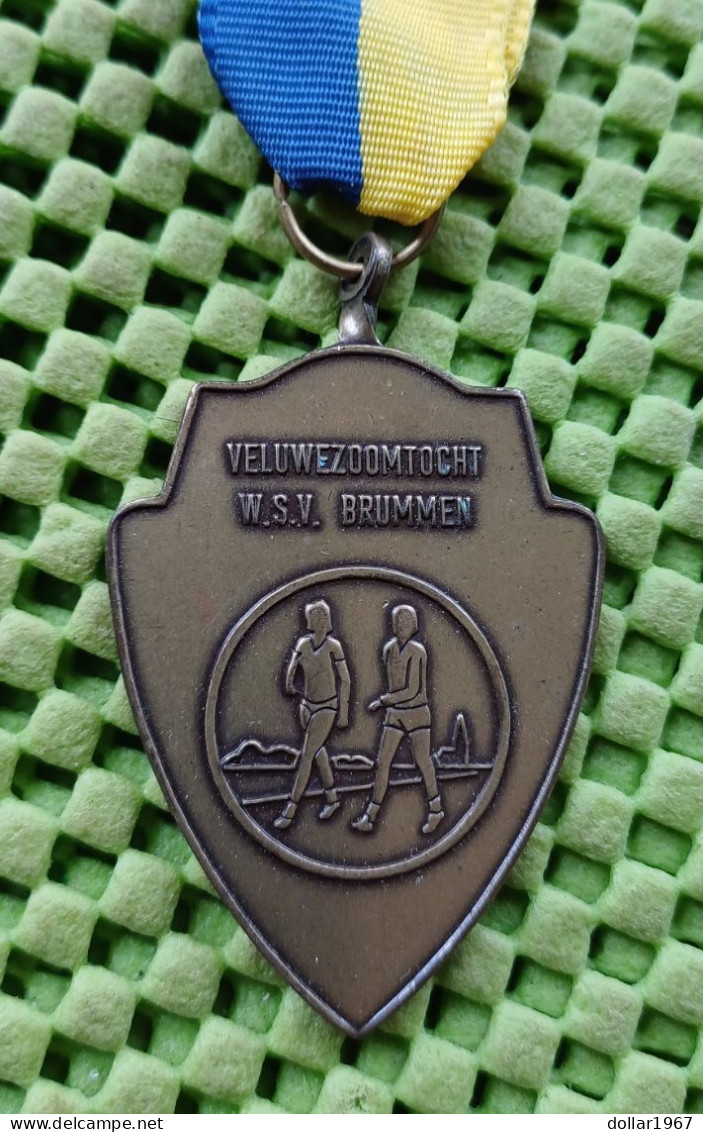 Medaille  - Veluwezoomtocht , W.S.V. Brummen -  Original Foto  !!  Medallion  Dutch - Altri & Non Classificati