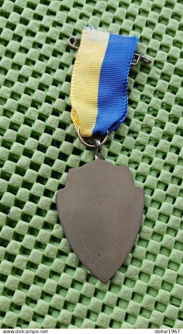 Medaille  - Veluwezoomtocht , W.S.V. Brummen -  Original Foto  !!  Medallion  Dutch - Other & Unclassified