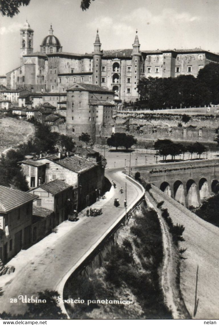 URBINO - SCORCIO PANORAMICO - F.G. - Urbino