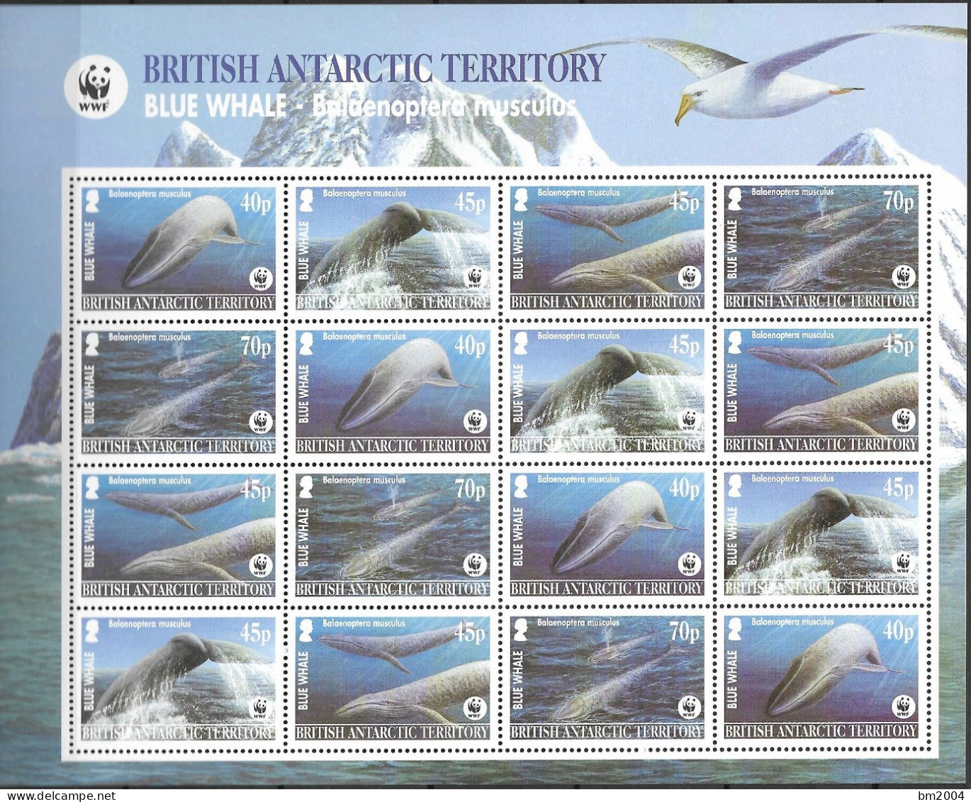 2003 British Antarctic Territory   Mi. 353-6 **MNH  Blue Whale  WWF - Ungebraucht