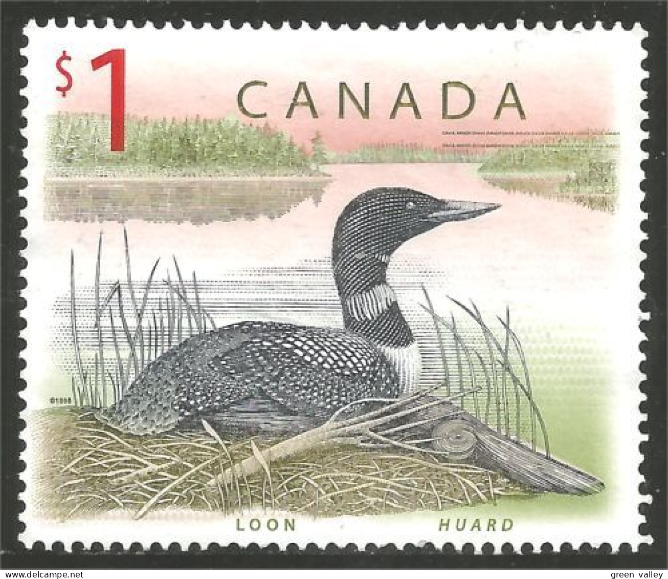 Canada Loon Huard Canard Duck Ente Anatra Pato Eend Mint No Gum (10-003) - Patos