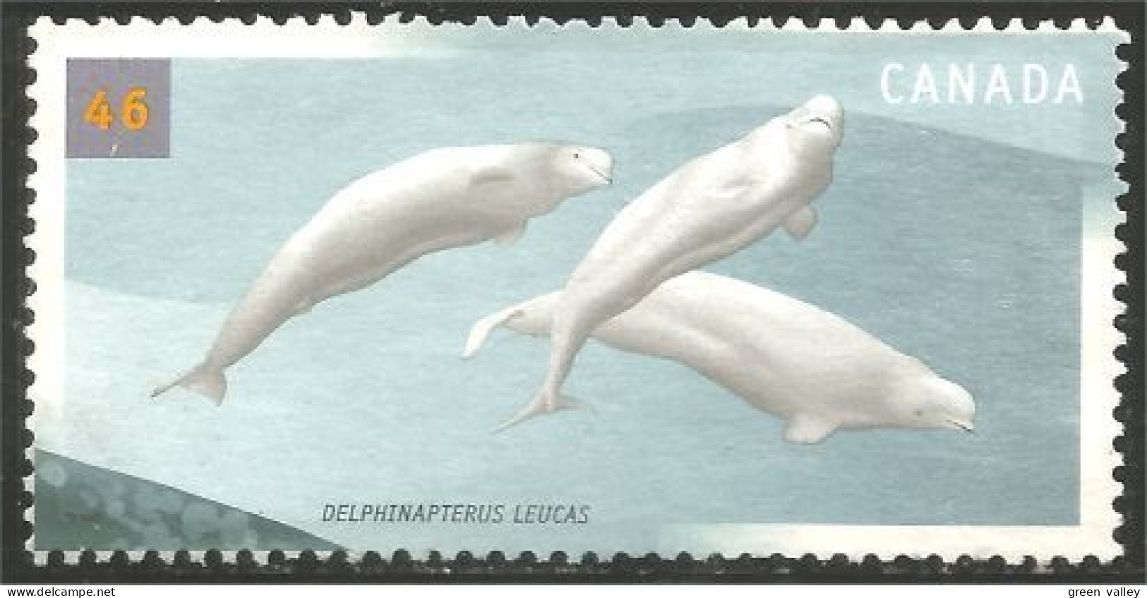 Canada Dauphin Dolphin Delphin Delfino Mint No Gum (4-010) - Dolphins