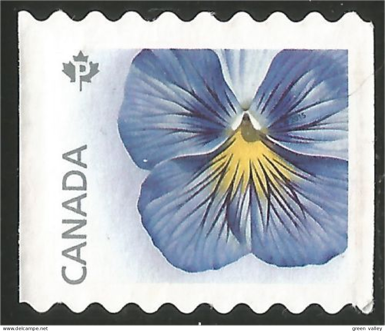 Canada Blue Poppy Mint No Gum (21) - Neufs