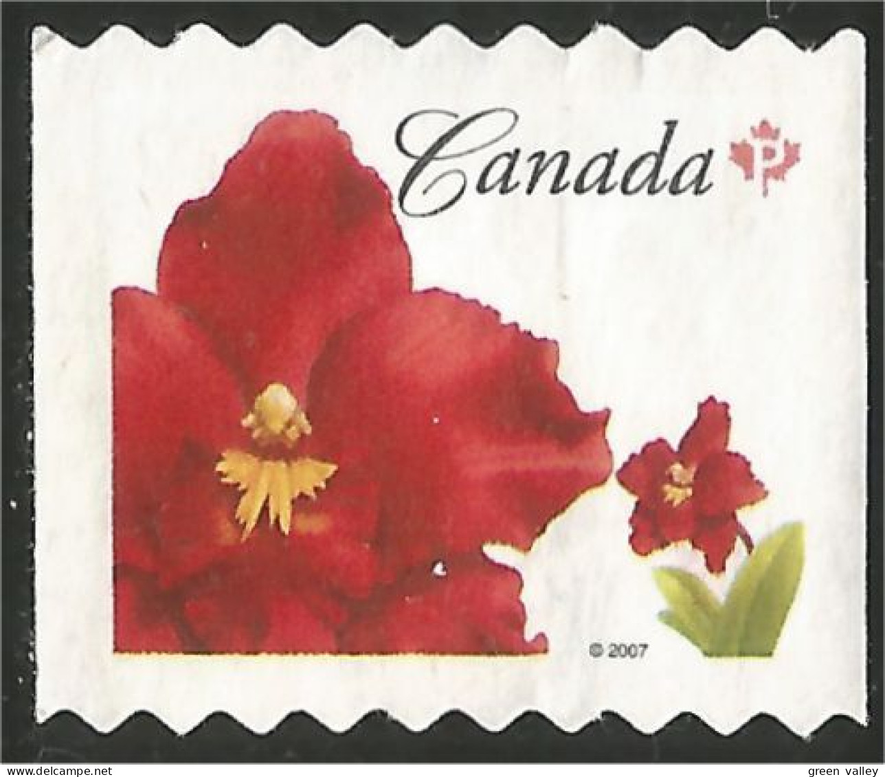 Canada Island Red Rouge Mint No Gum (18) - Neufs