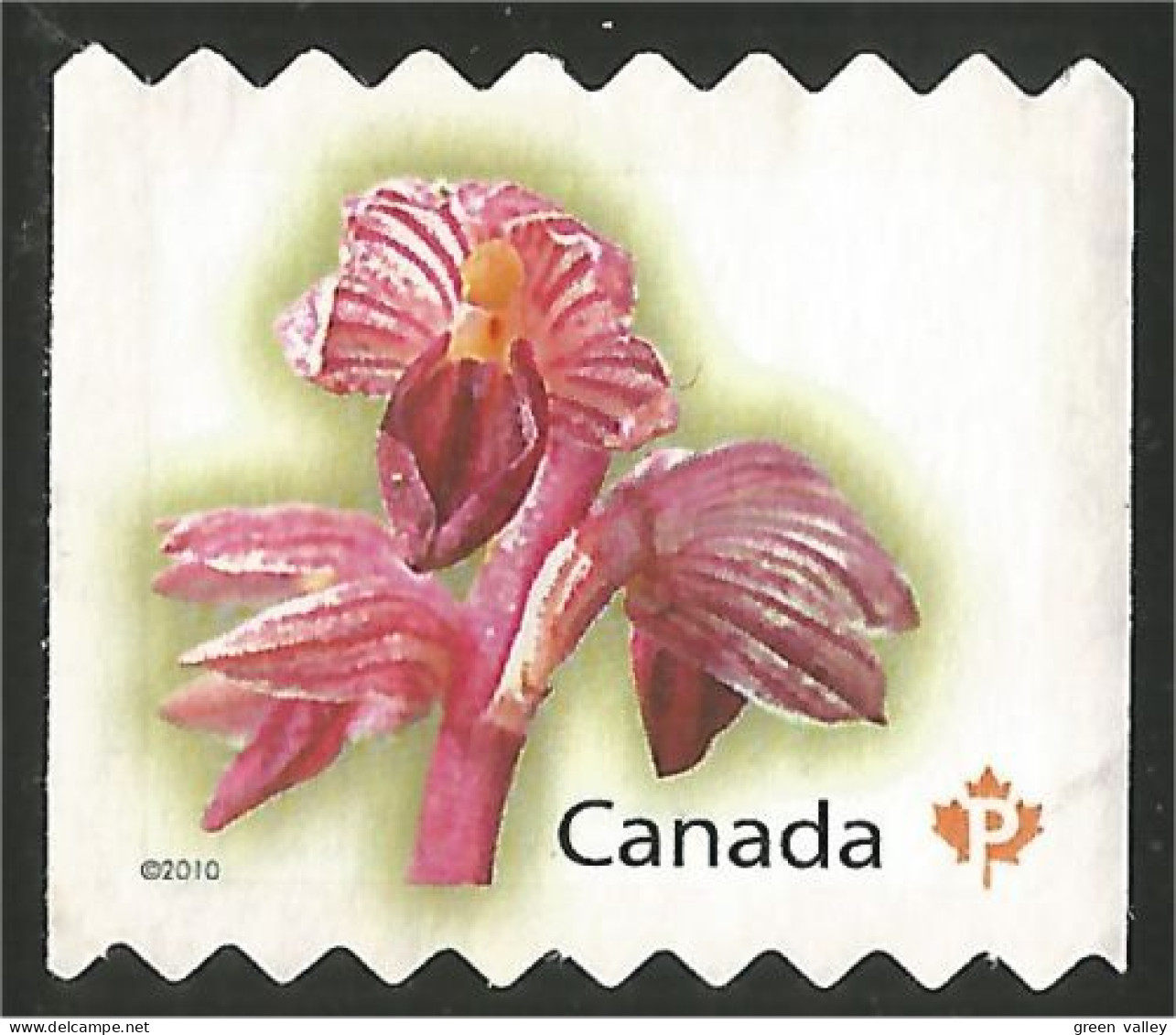 Canada Orchid Orchidée Mint No Gum (22) - Neufs