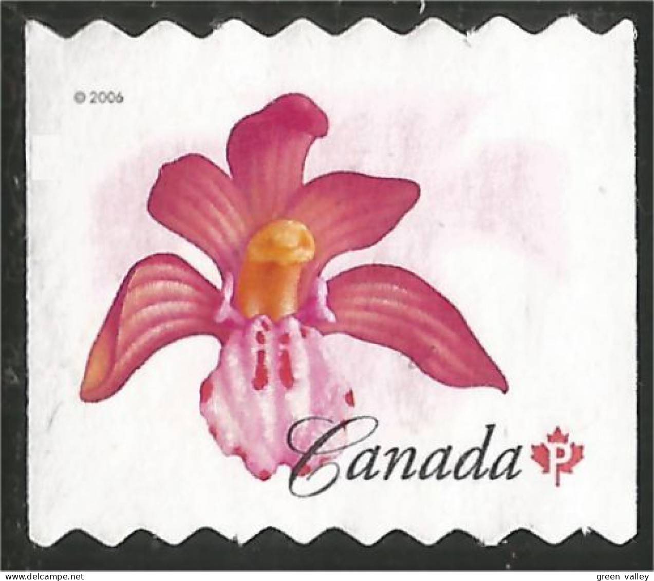 Canada Orchid Orchidée Coralroot Mint No Gum (14) - Neufs