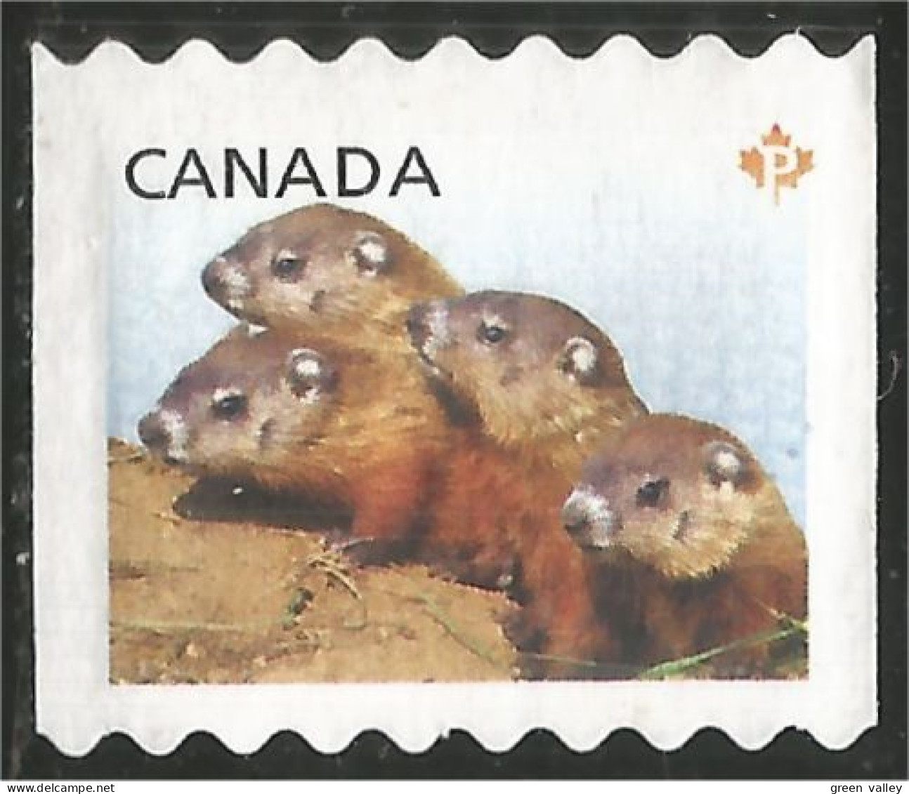 Canada Chiens Prairie Dogs Mint No Gum (6) - Neufs