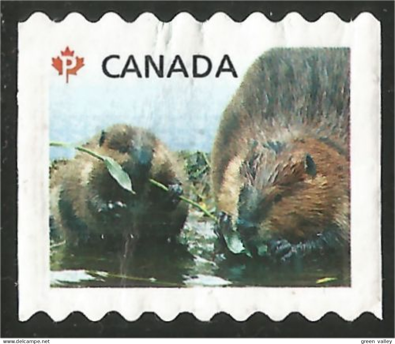 Canada Castor Beaver Mint No Gum (11) - Neufs