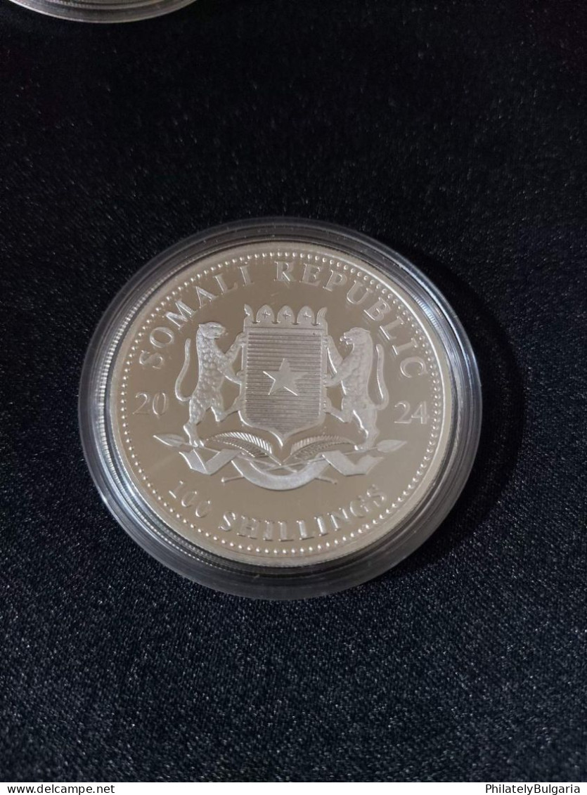 Somalia 2024 - 100 Shillings - 1 OZ - Silver Coin - Somalie