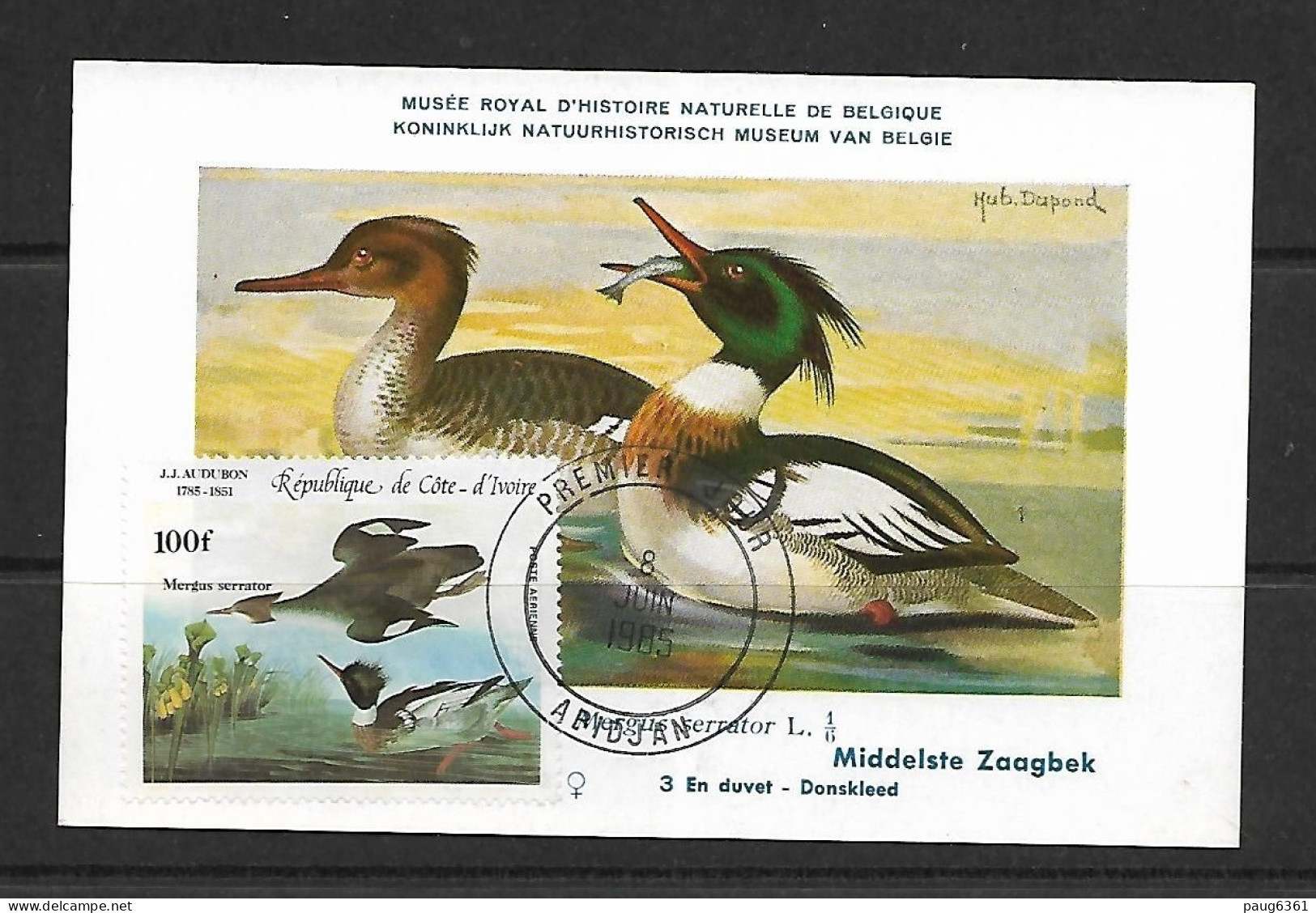 COTE D'IVOIRE 1985 CARTE MAXIMUM CANARD YVERT N°PA97 - Ducks