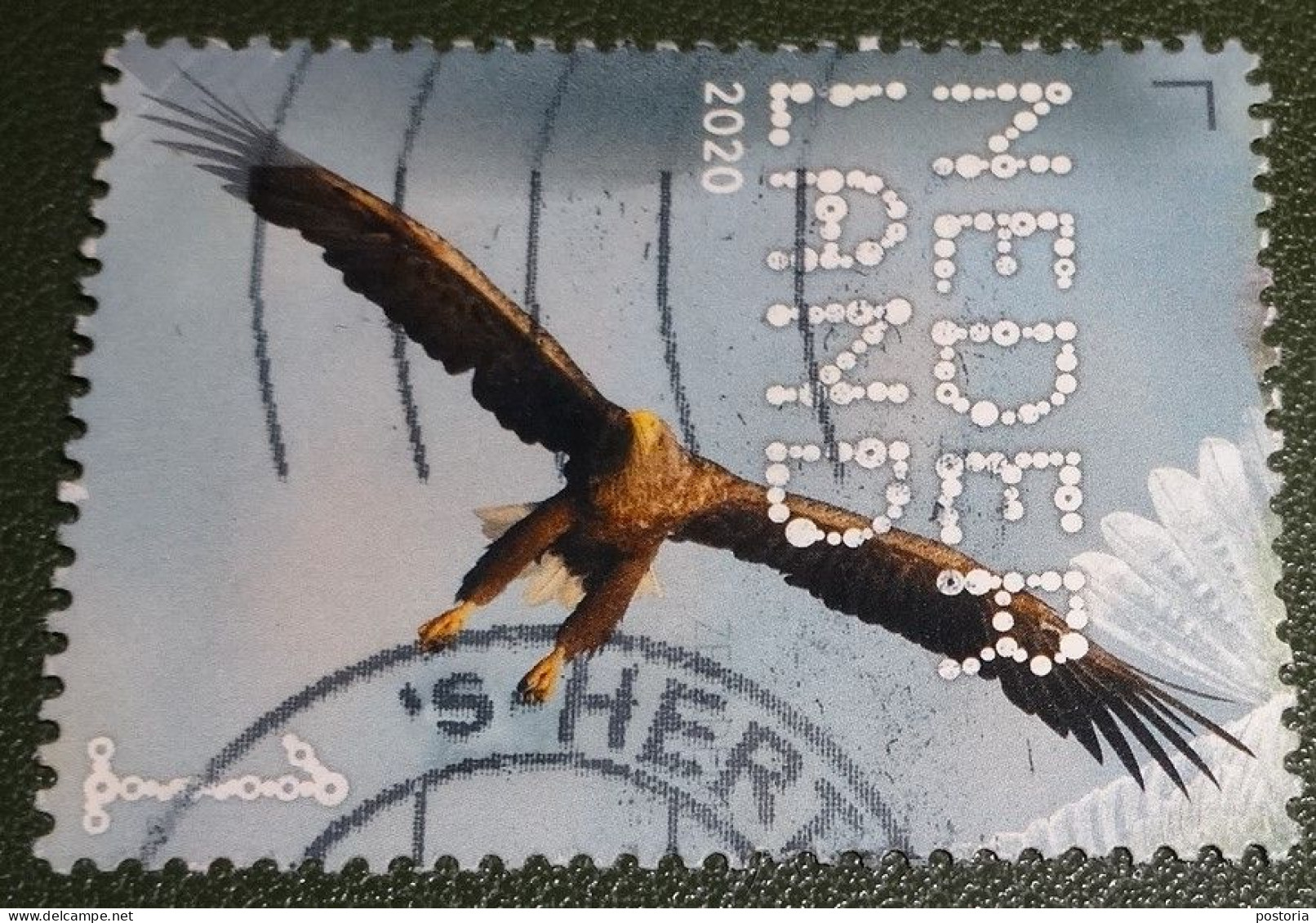 Nederland - NVPH - Xxxx - 2020 - Gebruikt - Used - Beleef De Natuur - Zeearend - Used Stamps