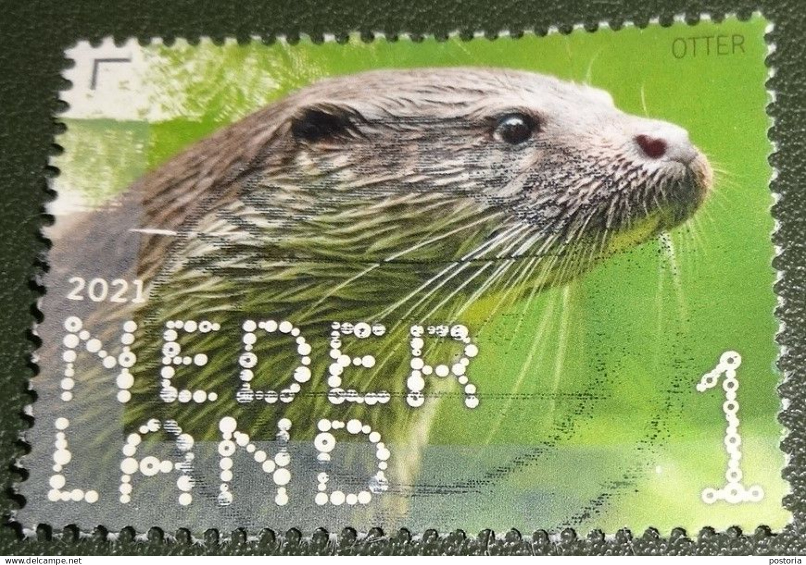 Nederland - NVPH - Xxxx - 2021 - Gebruikt - Used - Beleef De Natuur - Otter - Used Stamps