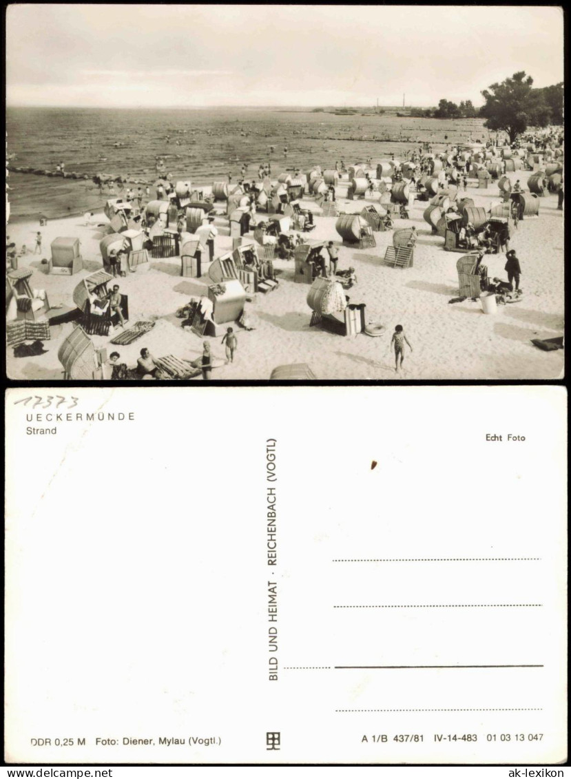 Ansichtskarte Ueckermünde Belebter Strand, Strandkörbe, Kinder 1981 - Ückermünde