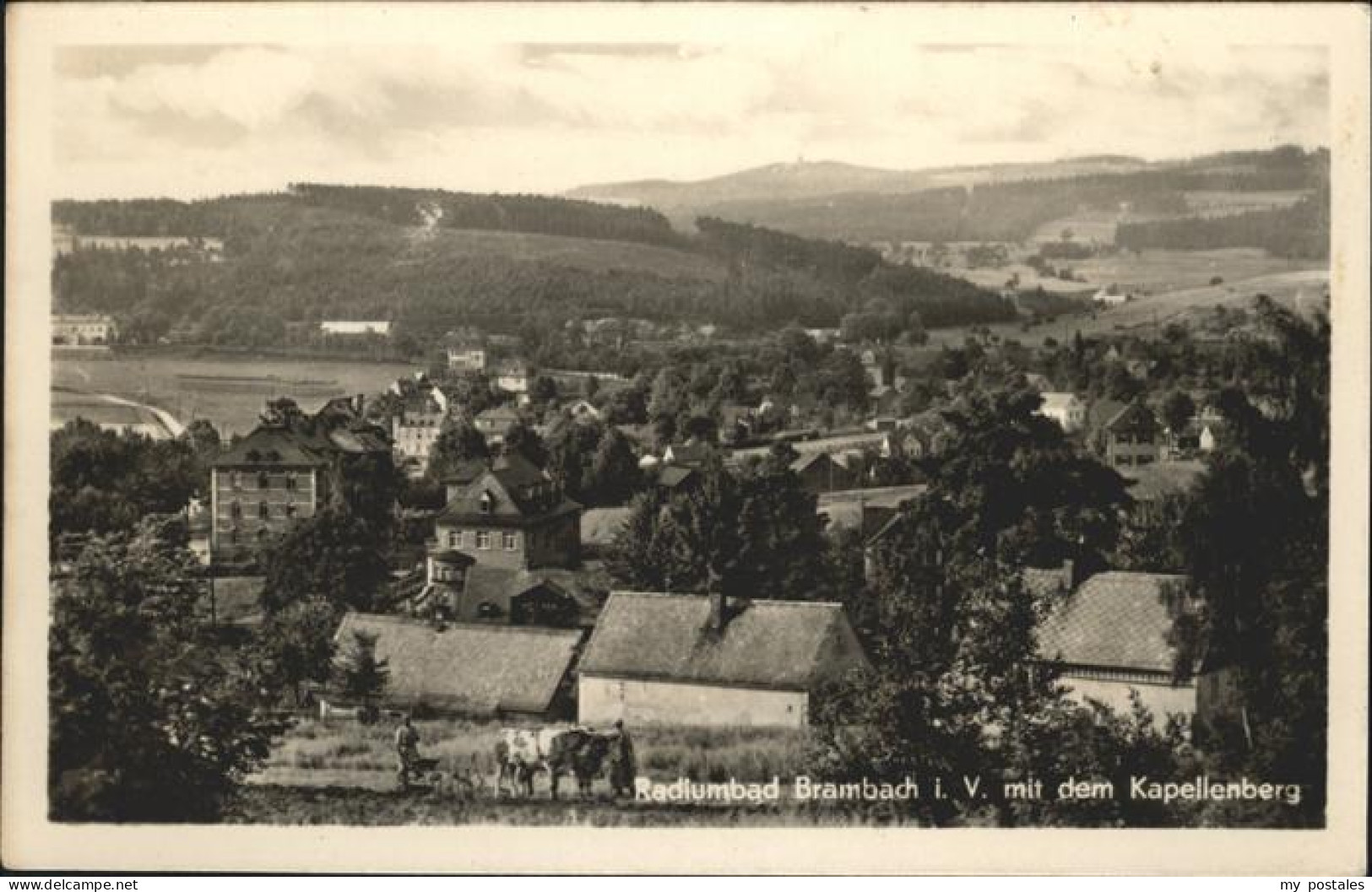 41194798 Bad Brambach Rediumbad Brambach, Kapellenberg Bad Brambach - Bad Brambach